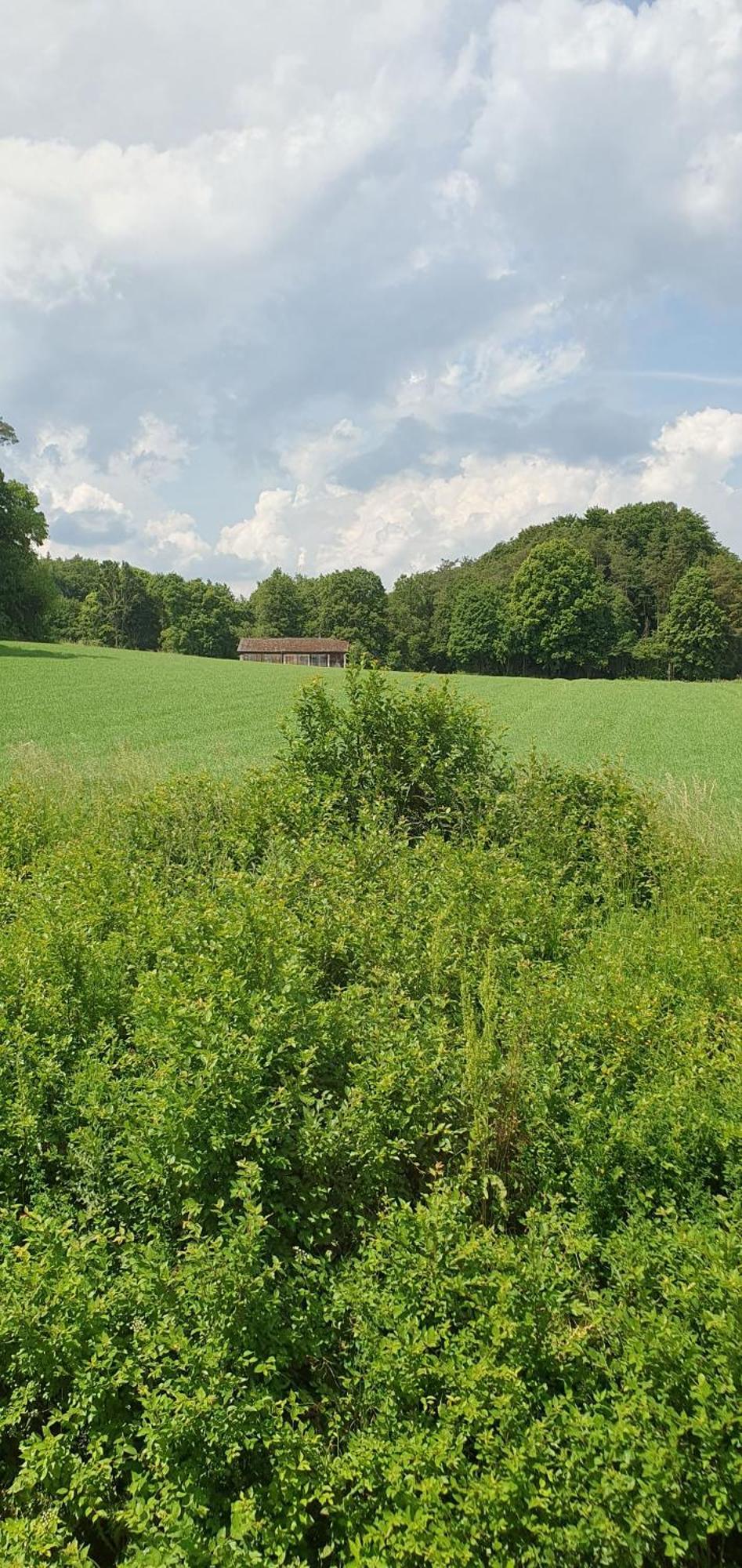 Gasthaus Zum Schneider Pottenstein Buitenkant foto